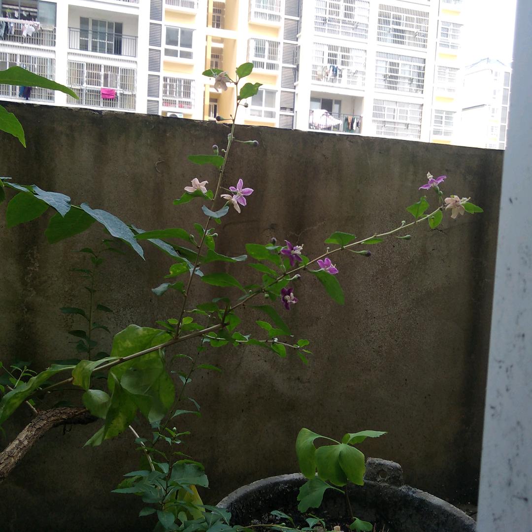 用户知足常乐