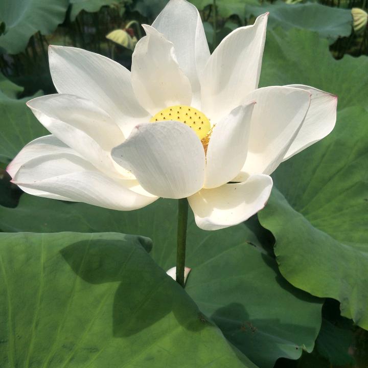 倾尽流年暖时光