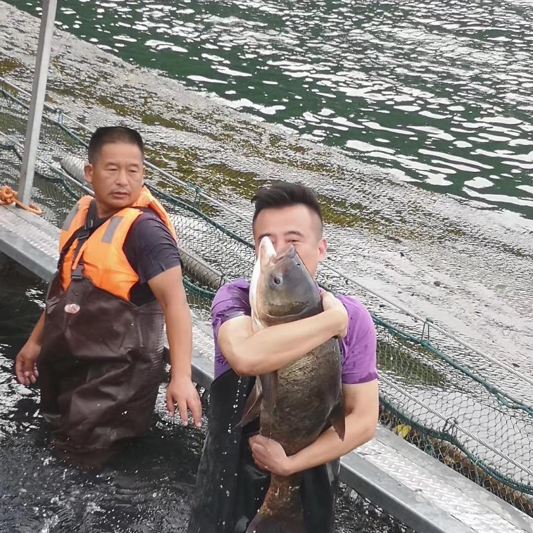 徐水元
