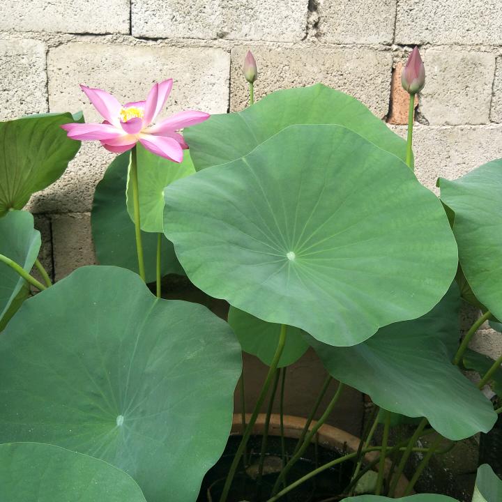 人生就是一场赌局