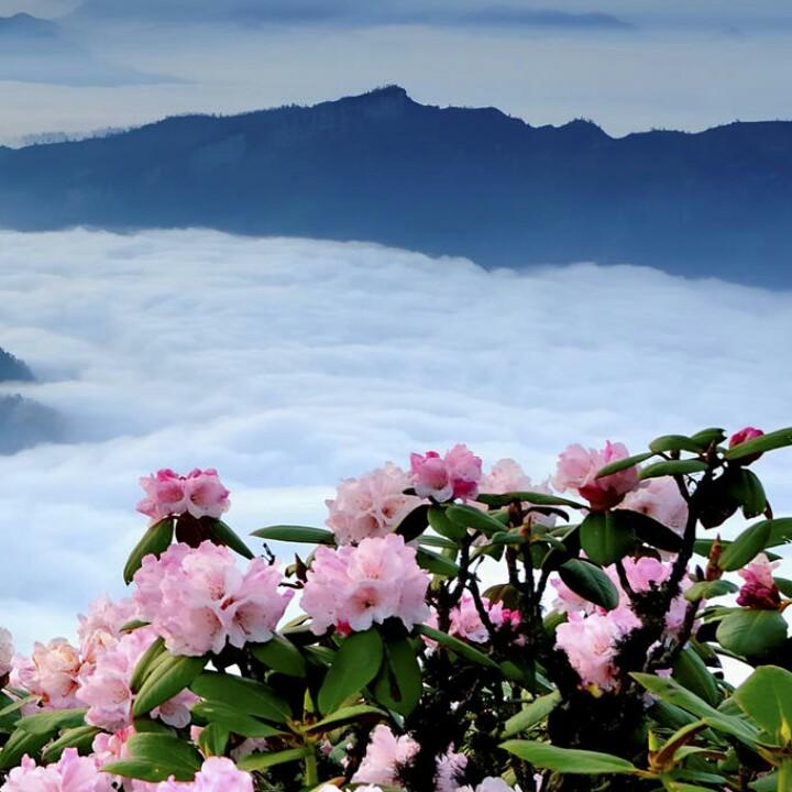幸运99