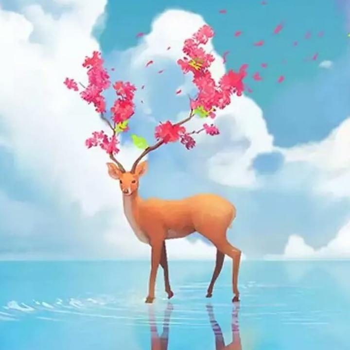 粤港澳咖啡机售卖和售后