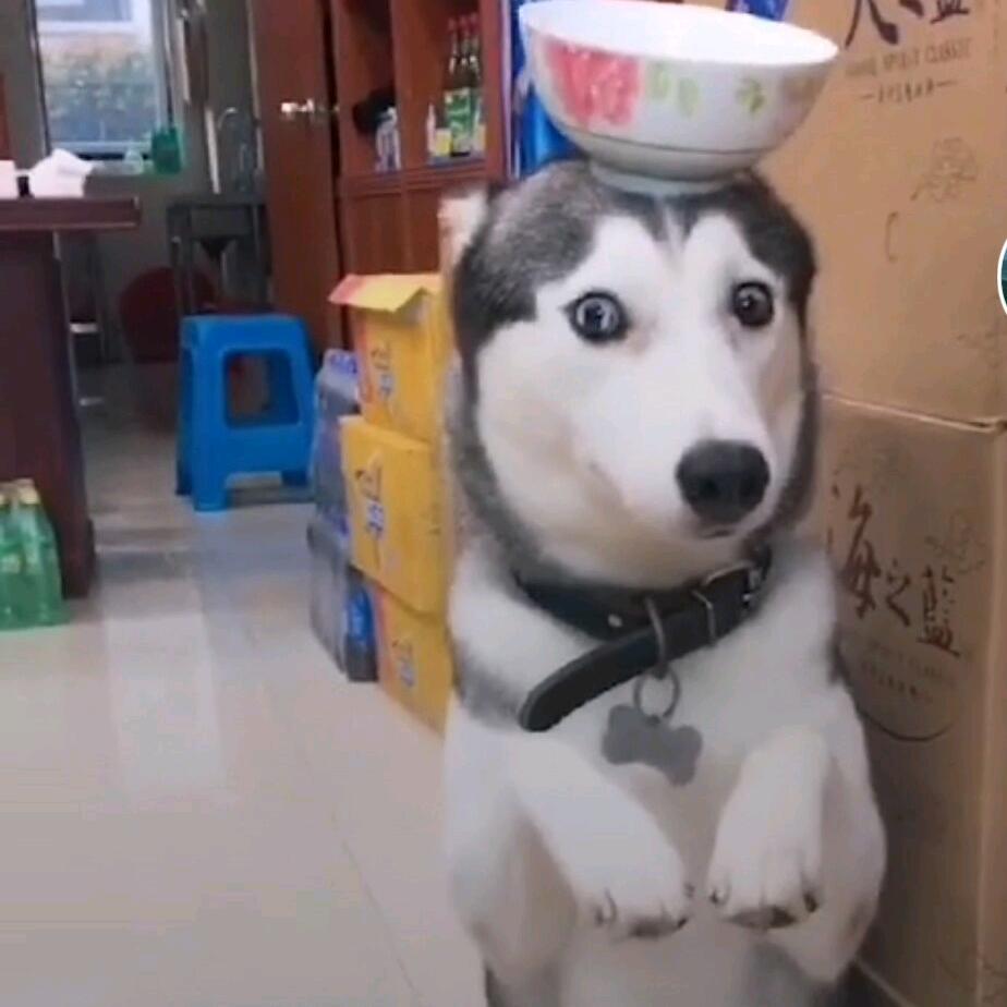暮云无双