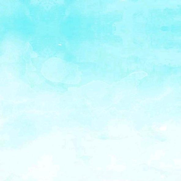 葱鸭