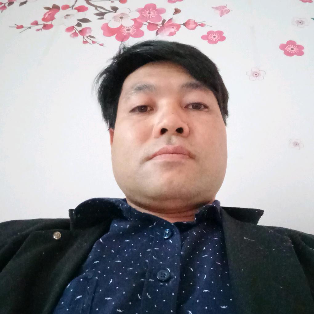 陈洪