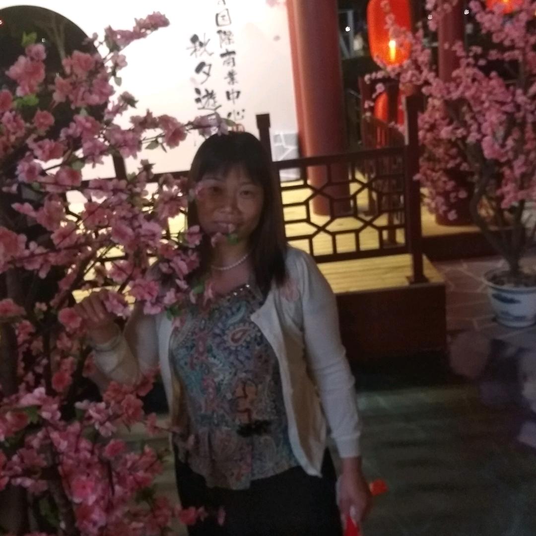 雁南飞