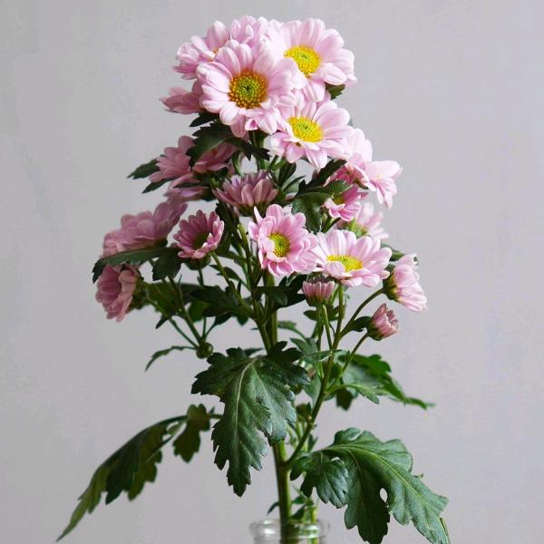 北京富华蒸兴民俗饭庄清真