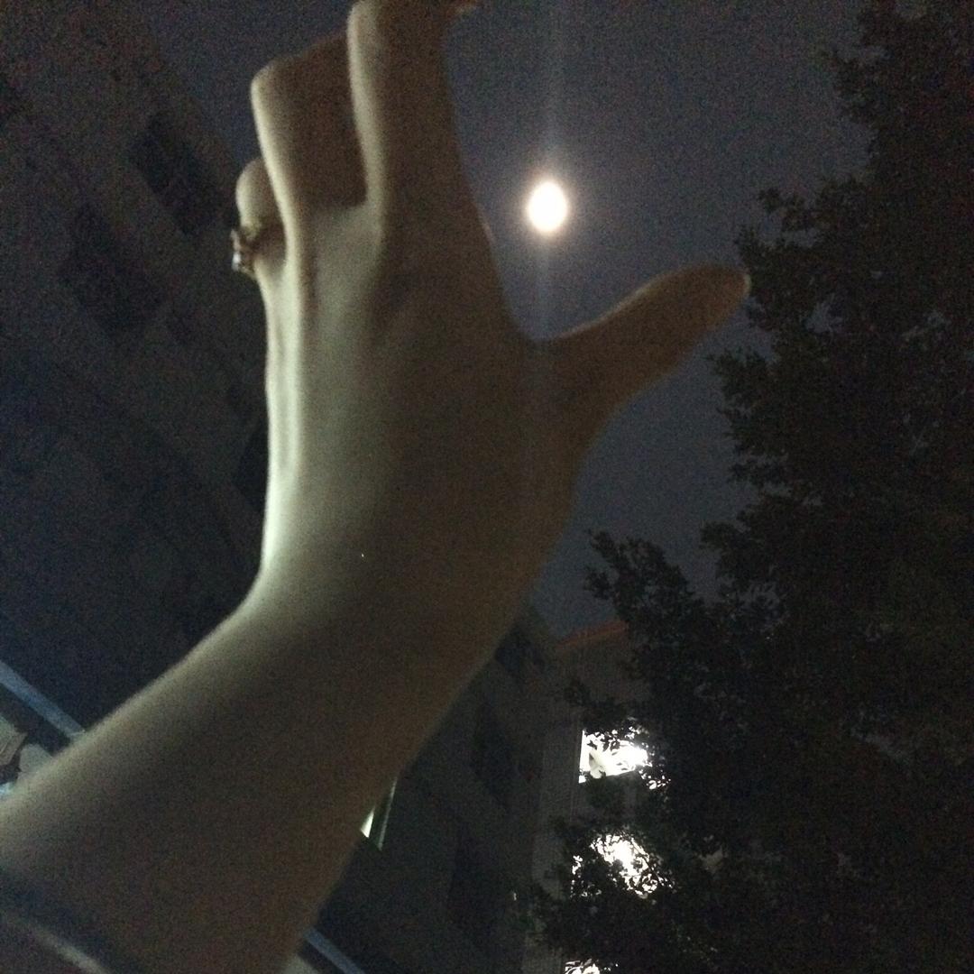荨麻草