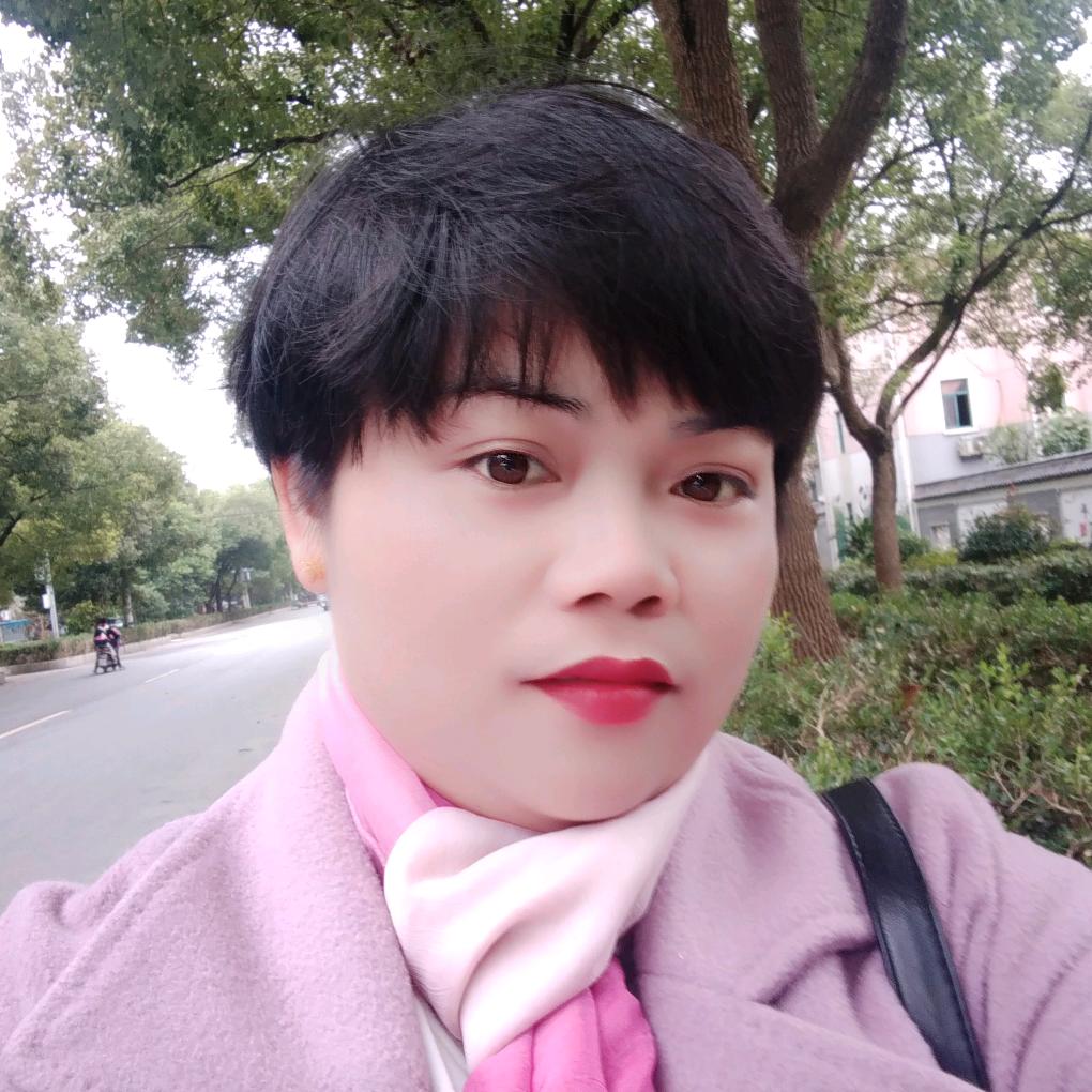 金毛