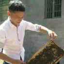 向东家的土蜂蜜