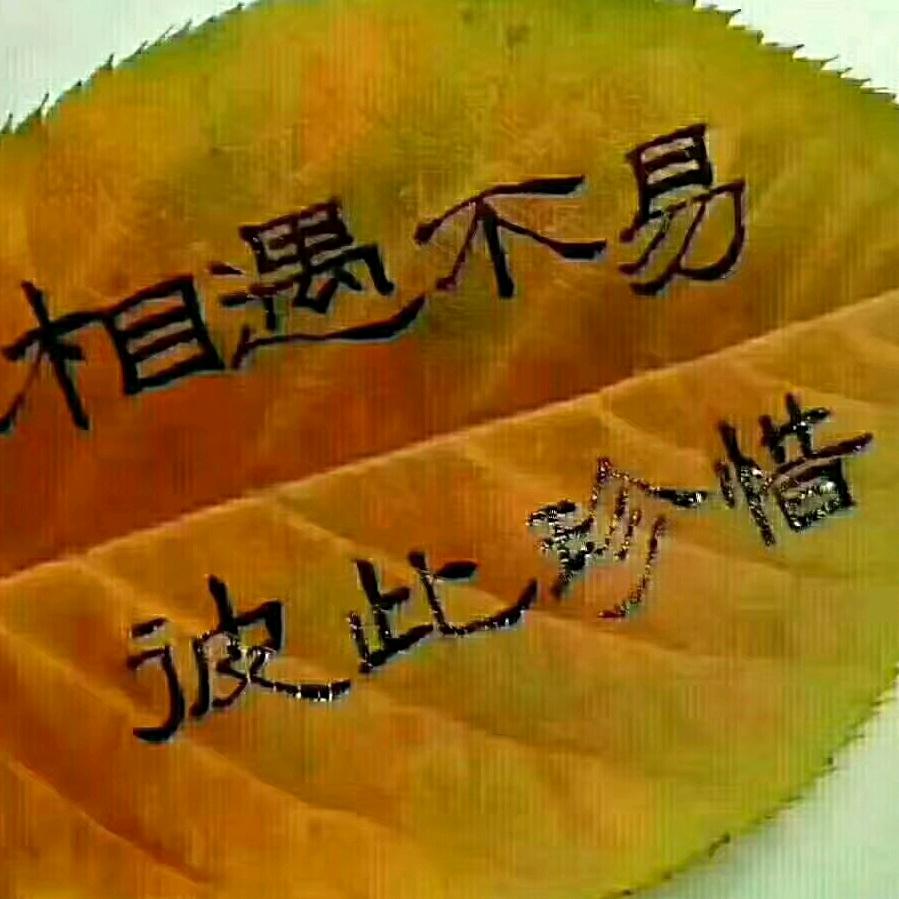 小虎队