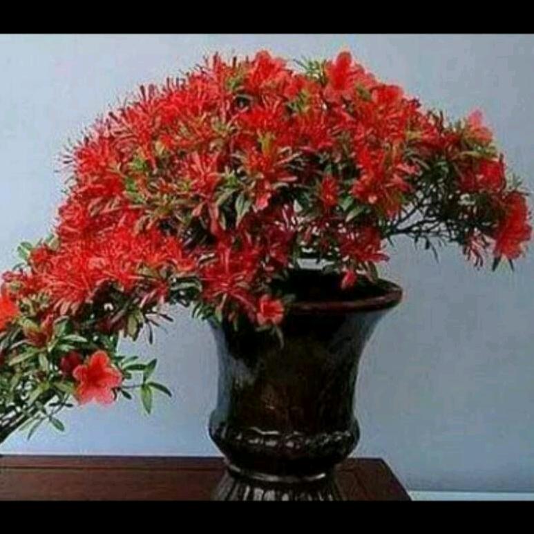 红姐余生很幸福