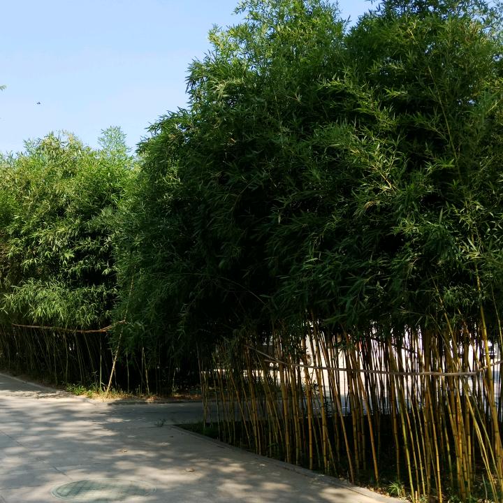 爱的世界只有你