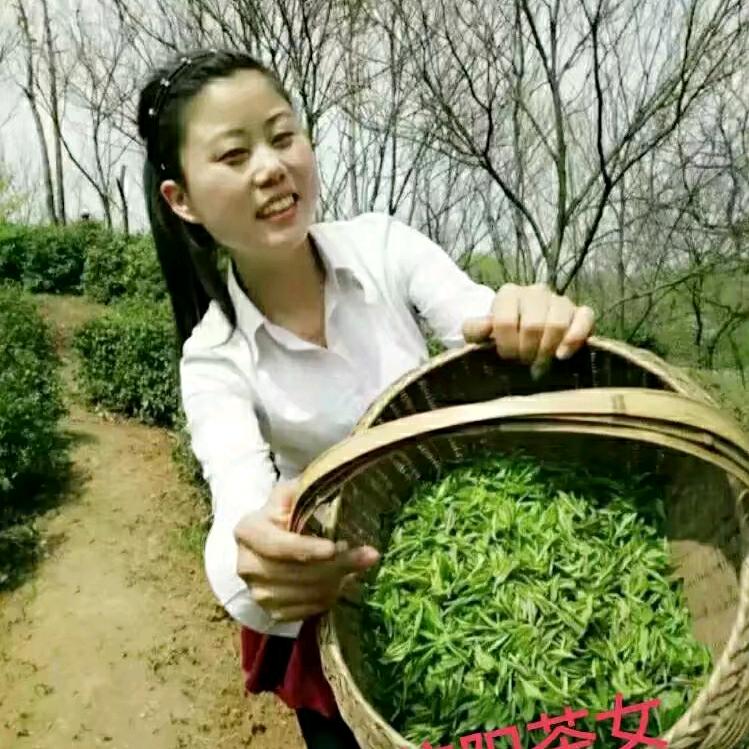 信阳毛尖厚梅手把茶