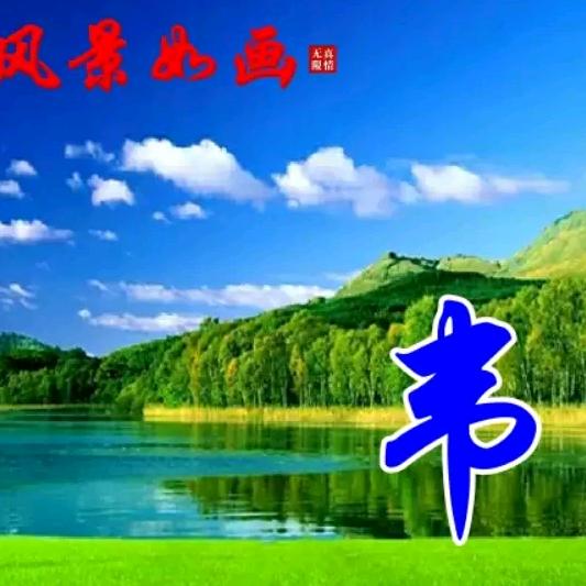 韋信
