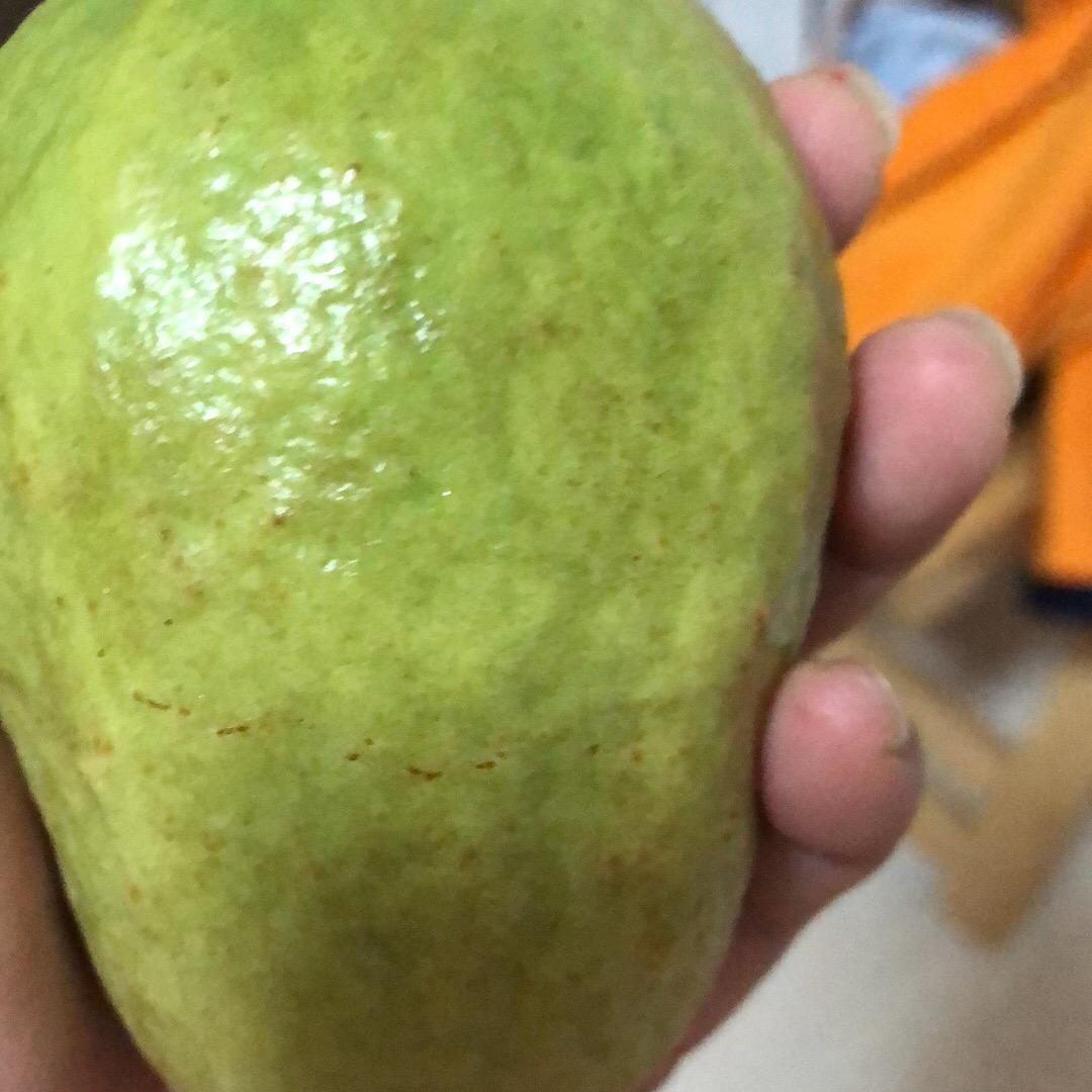 胖嘟嘟