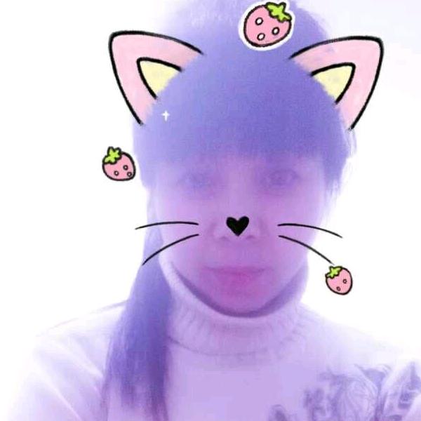 雪中玫瑰