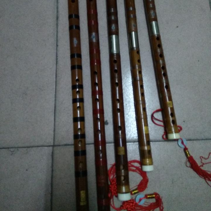 毕节，杨红哥