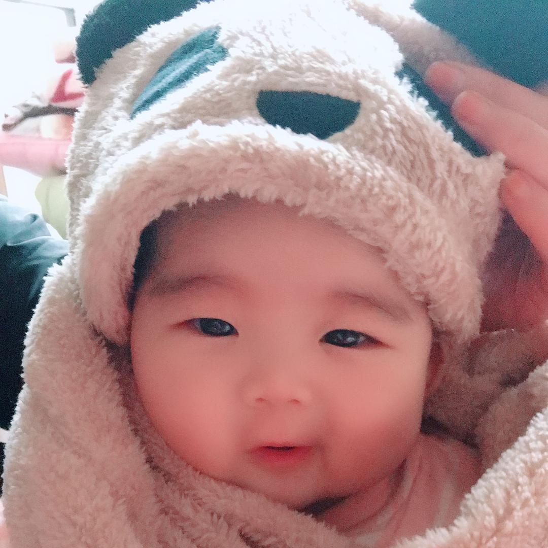 加菲猫