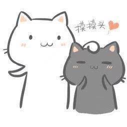 安洛迪