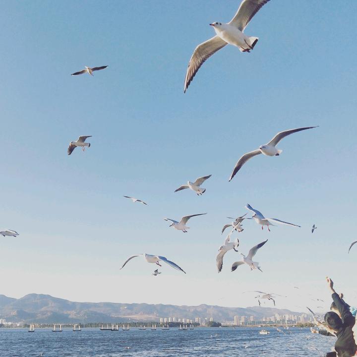 奥特曼