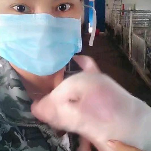寿县瑞丰畜牧  旭