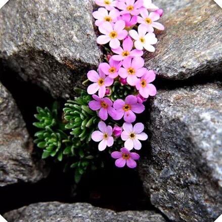 潮汕的小谢在常州