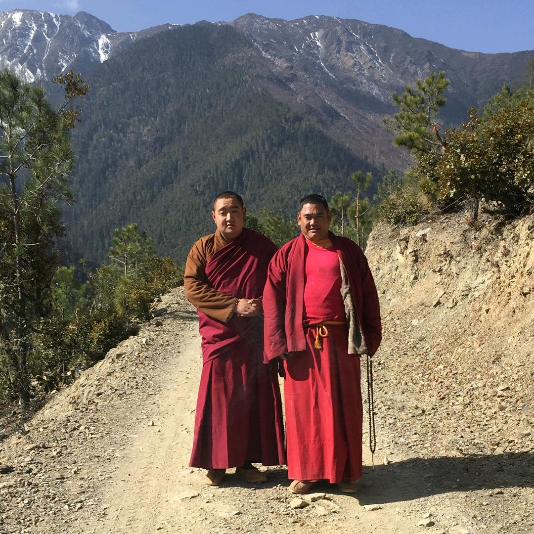 藏家儿子雪莲花