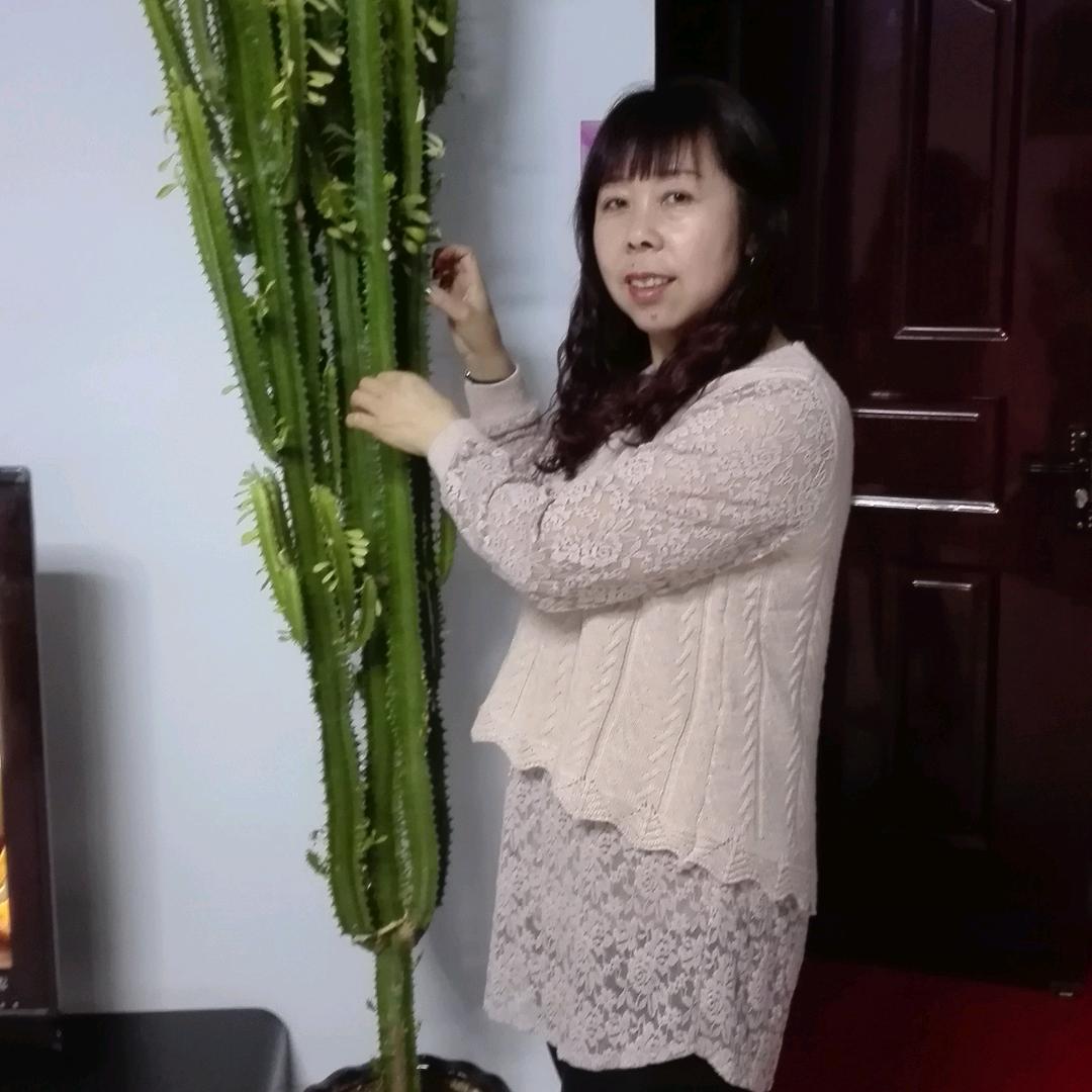 花季白鸽
