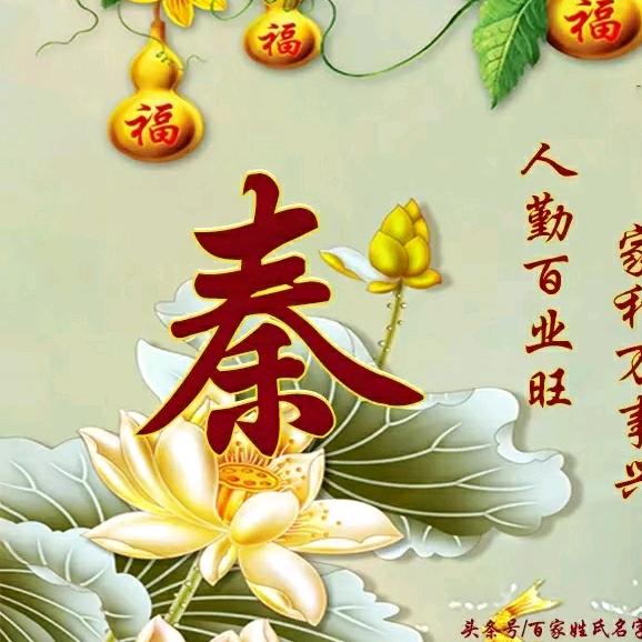 红薯哥