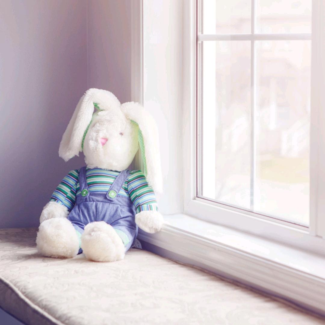 🌸两朵金花🌸