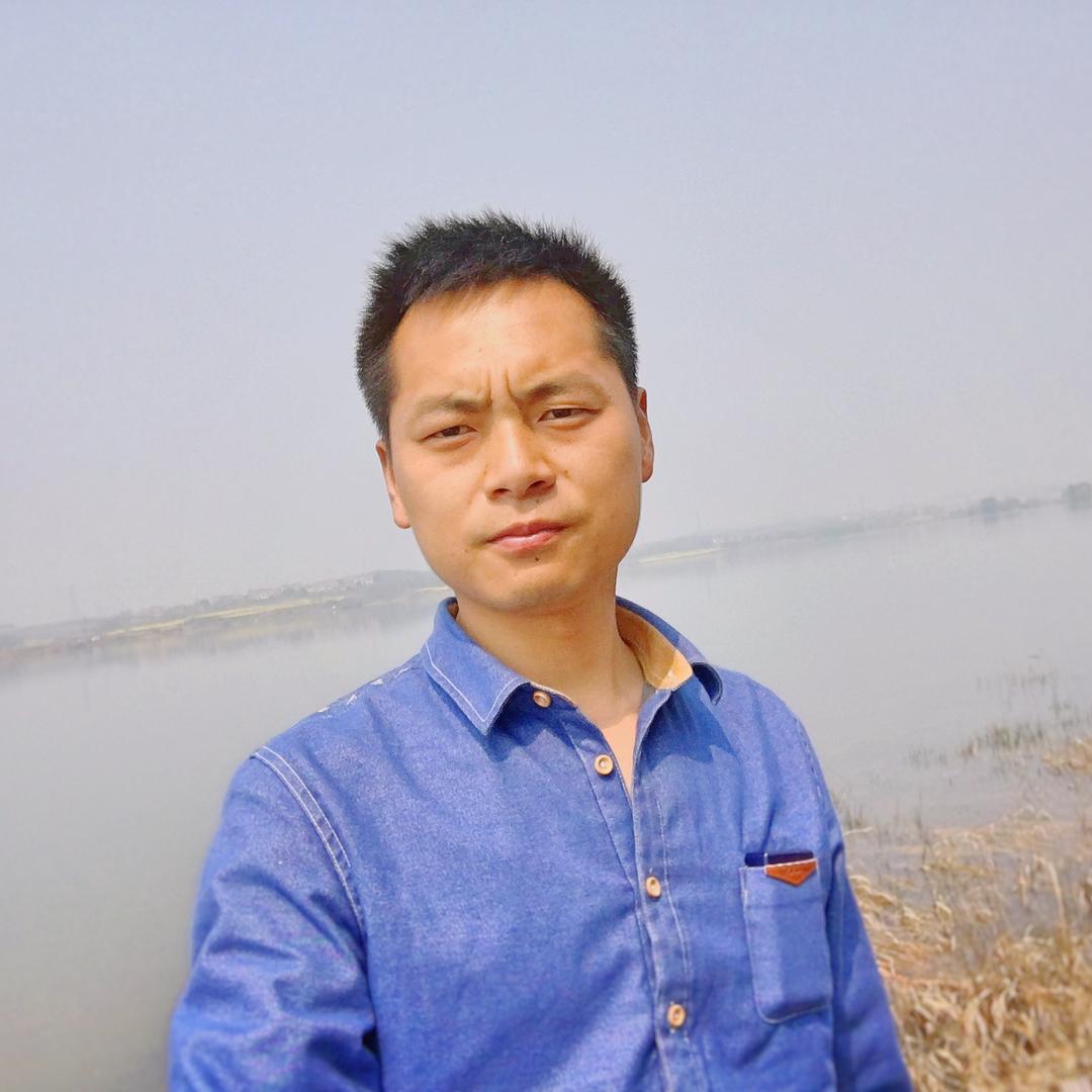 中网创信宠粉号