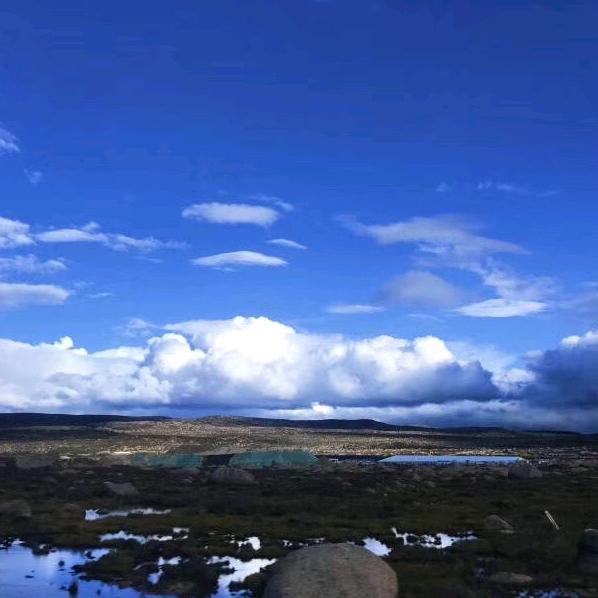 职业杀杀杀杀杀杀手