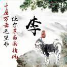 自由人