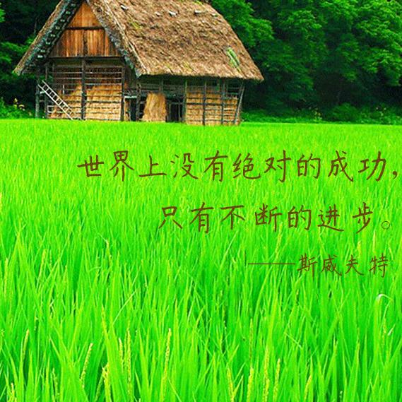 拉泥老师