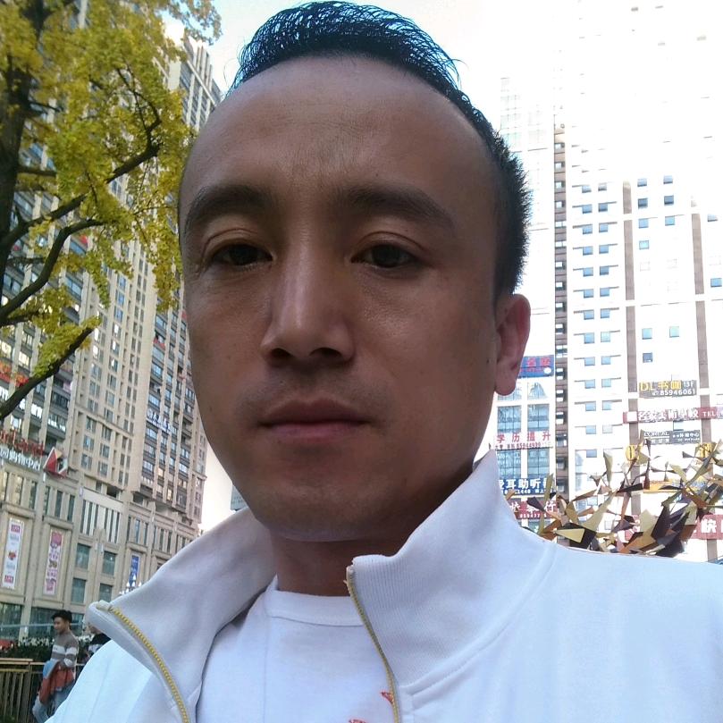 陈波