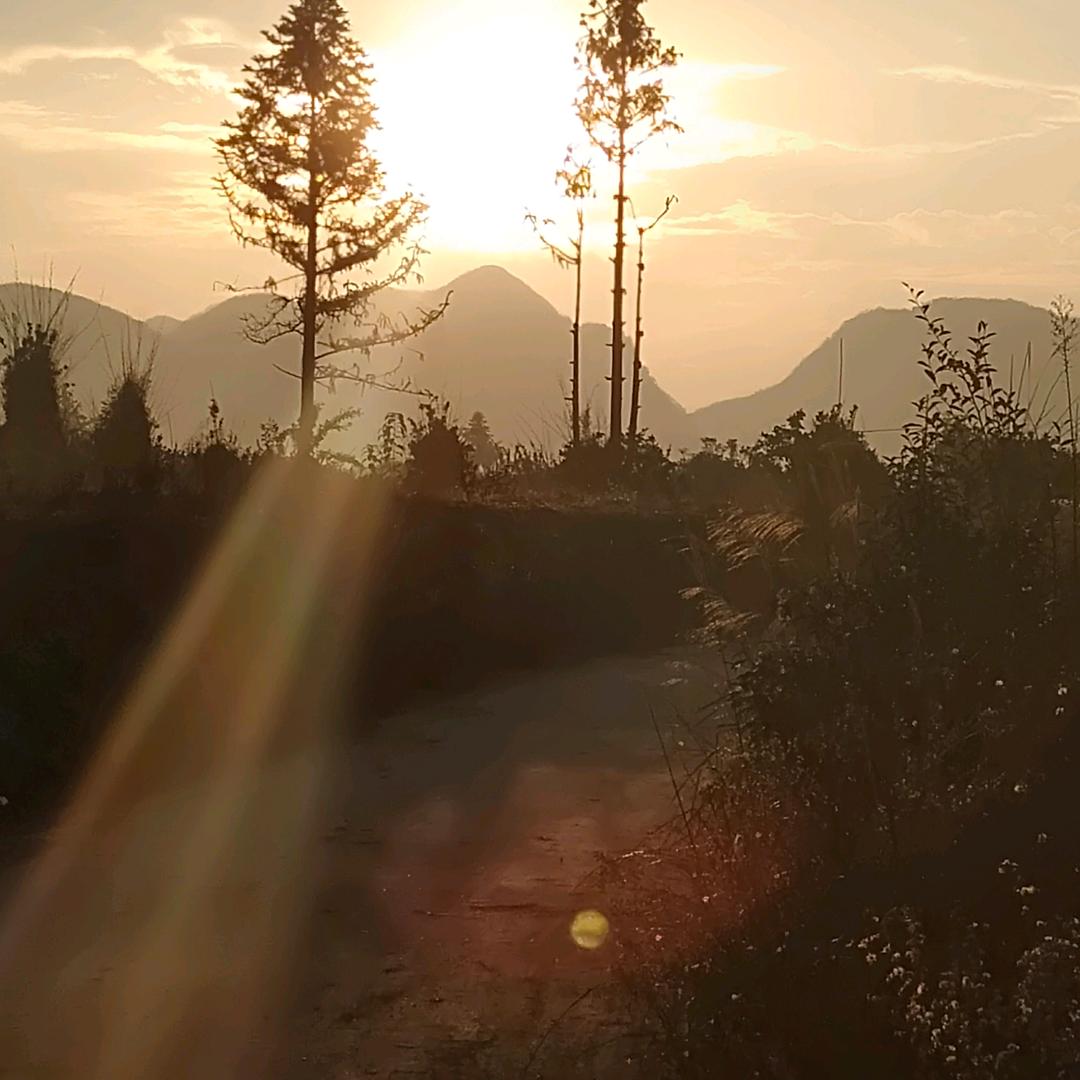 ꧁꫞꯭开心彪꫞꧂