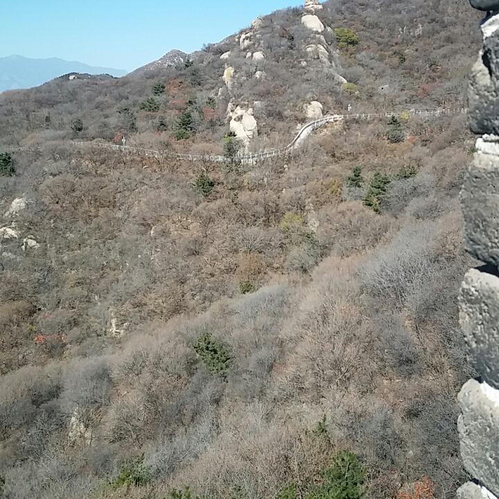 《随缘》