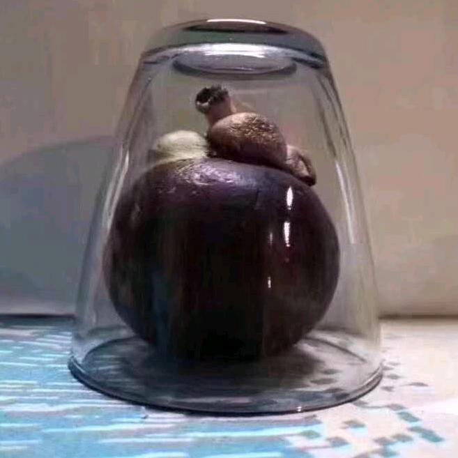 土牛木工团队-詹亮