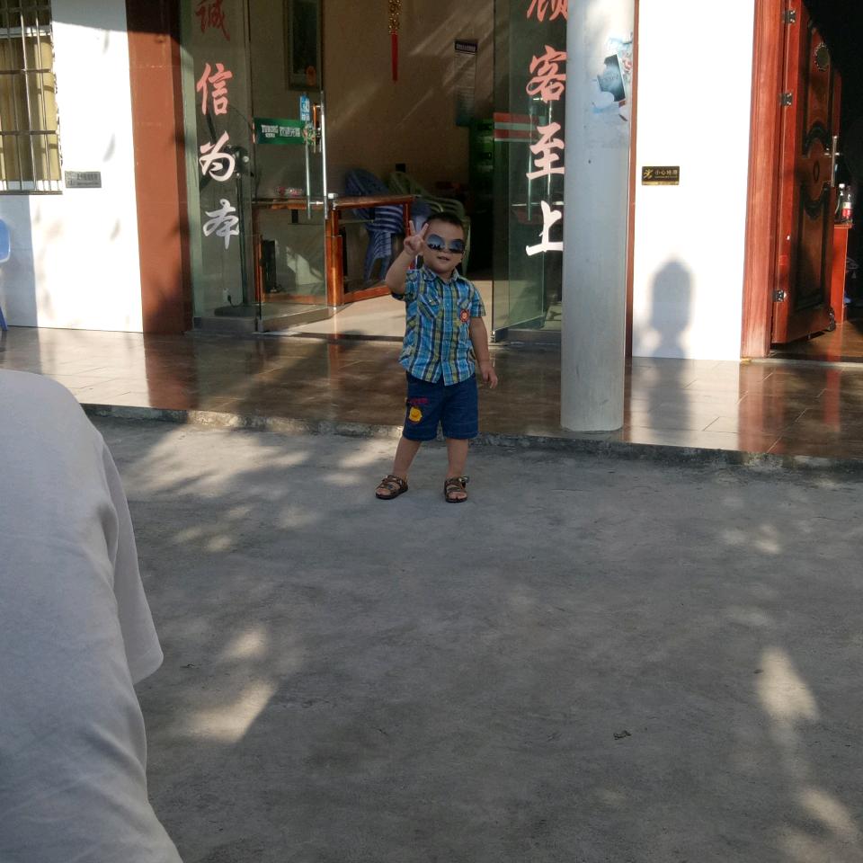 杨歌