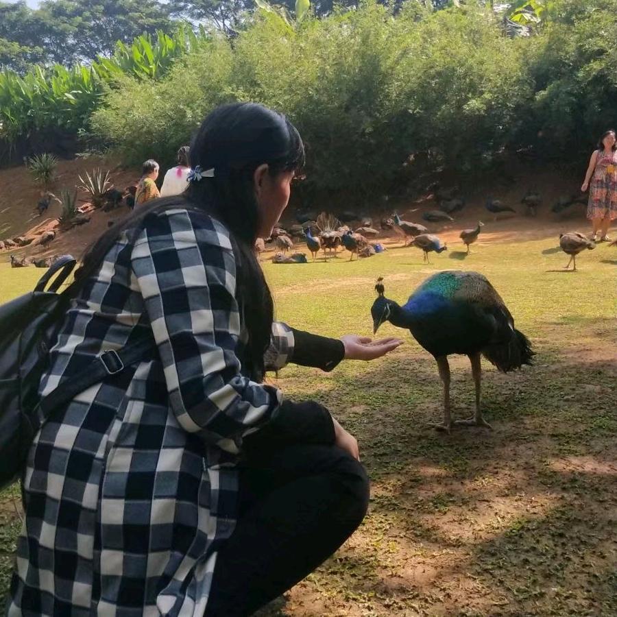 希期颐中老年妈妈装