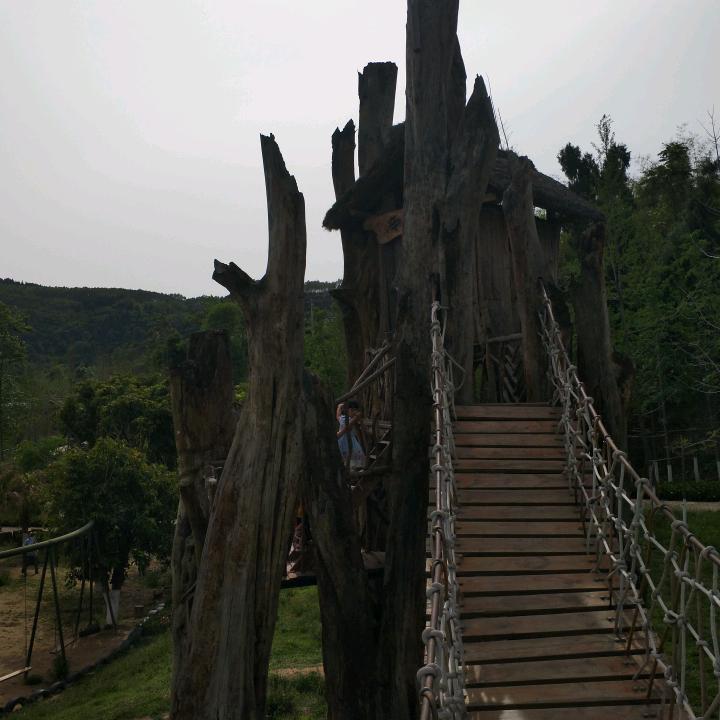 小鲁