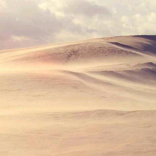 你是风儿我是沙