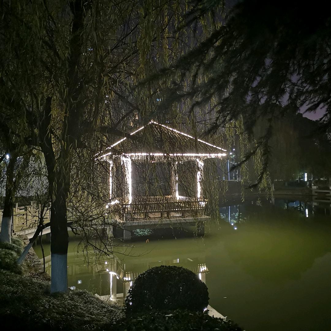 牵狗狗泡妞妞