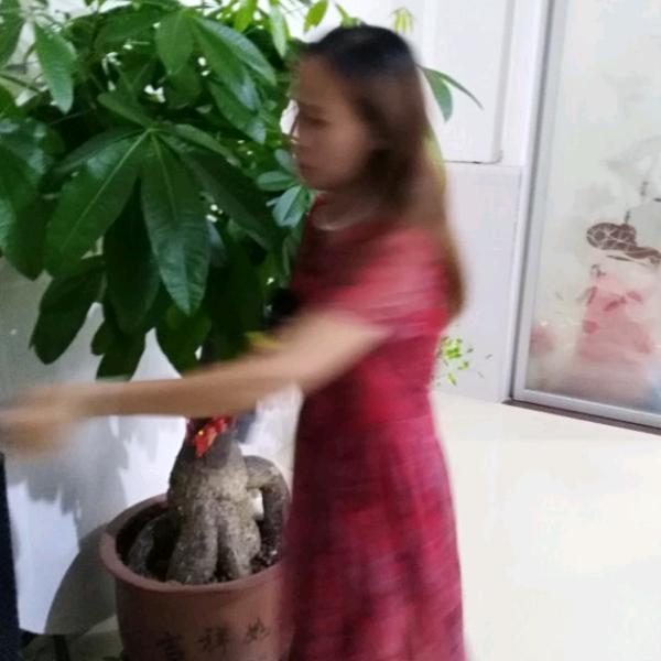 快乐每一天