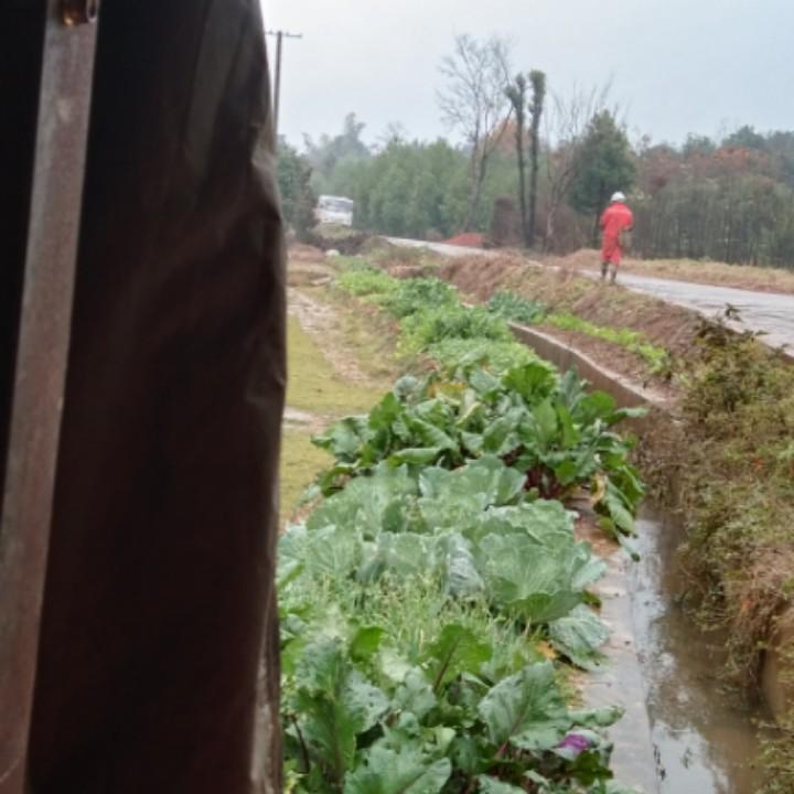 浪漫一生