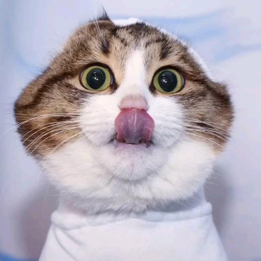暖色