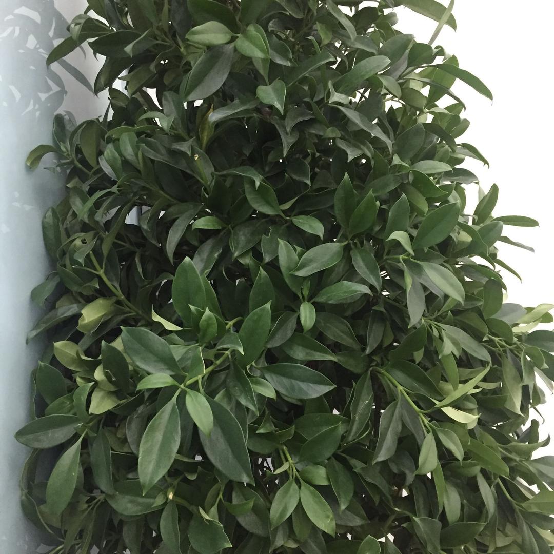 相信自己