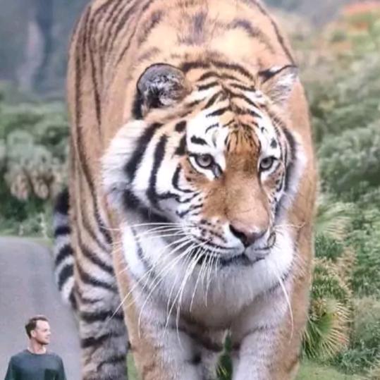 丹东不锈钢五阿哥