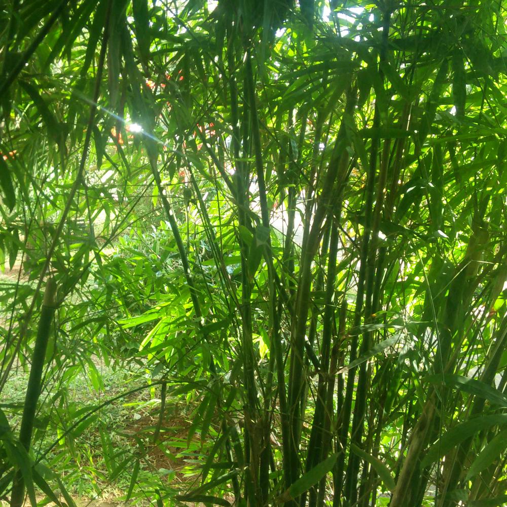 一路顺风